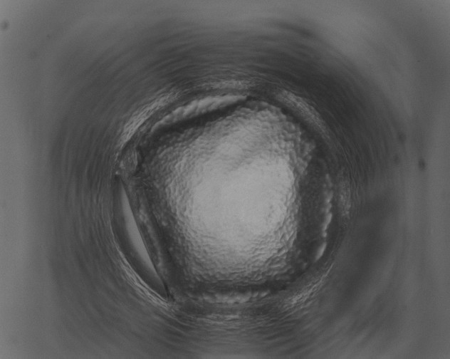 X0000062650725200601111151