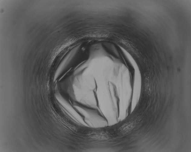 X0000062650727200601111151