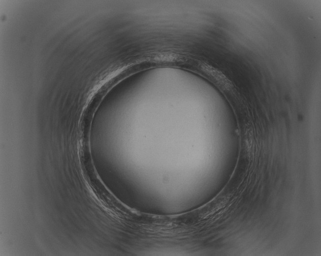 X0000062650728200601111151