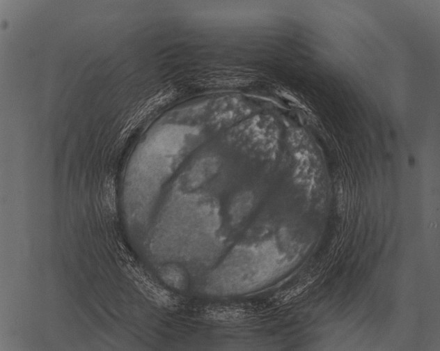 X0000062650729200601111151