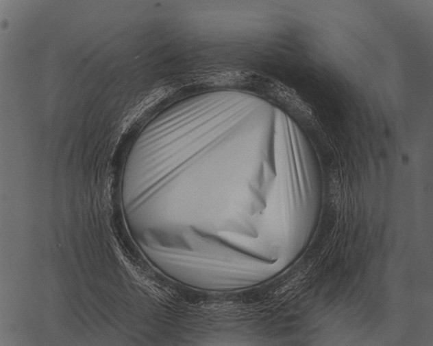 X0000062650730200601111151