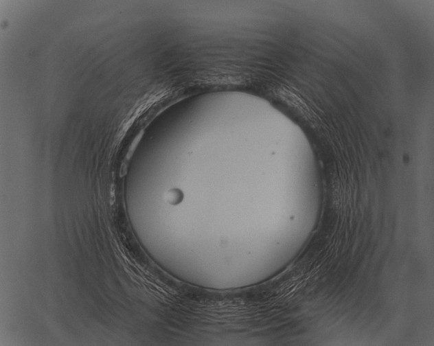 X0000062650731200601111151