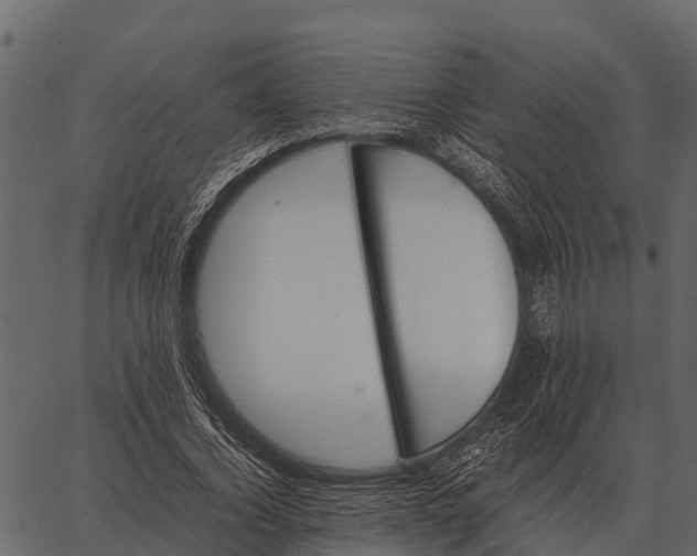 X0000062650732200601111151