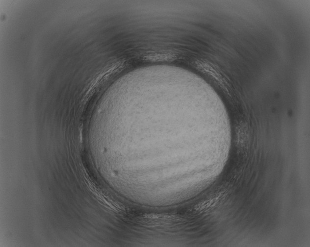 X0000062650733200601111151