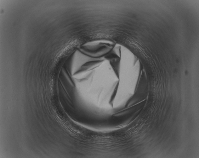 X0000062650735200601111151