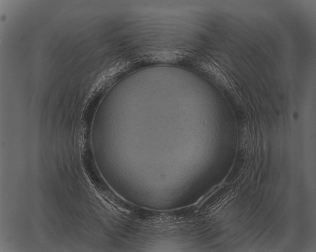 X0000062650736200601111151