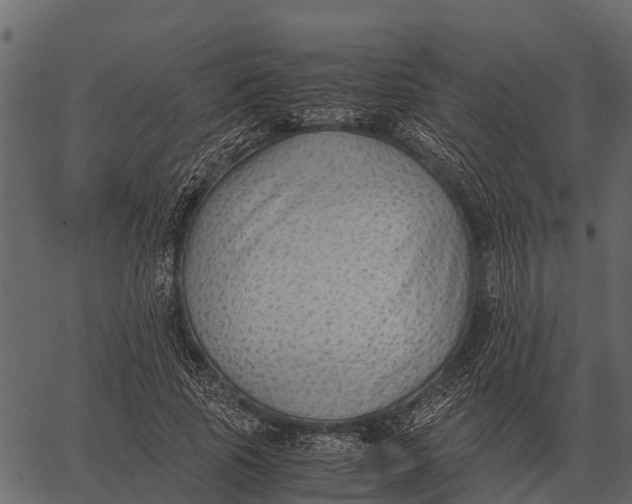 X0000062650737200601111151