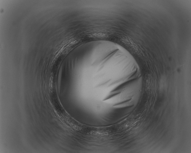 X0000062650739200601111151