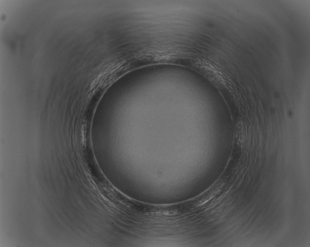 X0000062650740200601111151