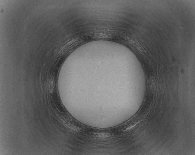 X0000062650741200601111151