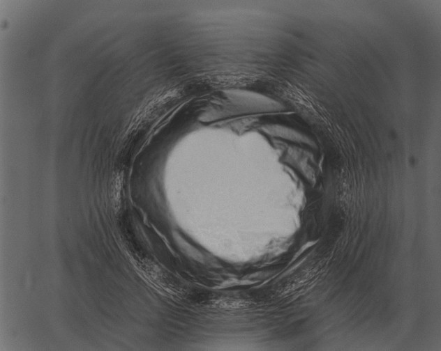 X0000062650742200601111151