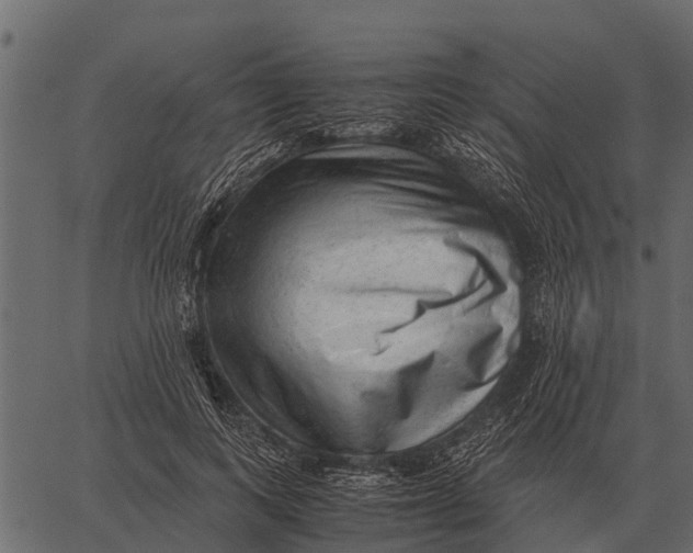 X0000062650743200601111151