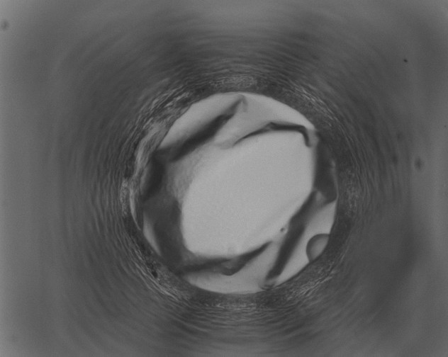 X0000062650745200601111151