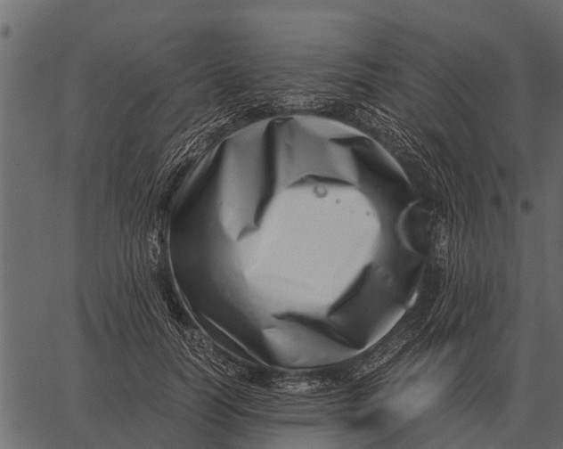 X0000062650746200601111151