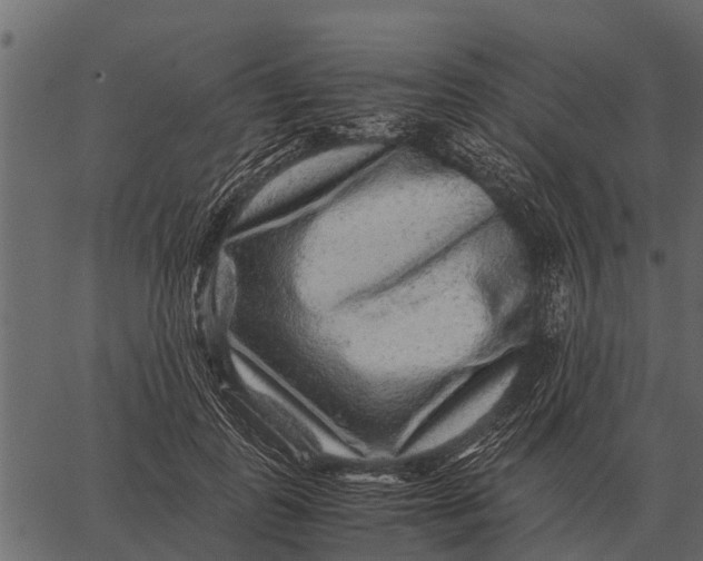 X0000062650747200601111151