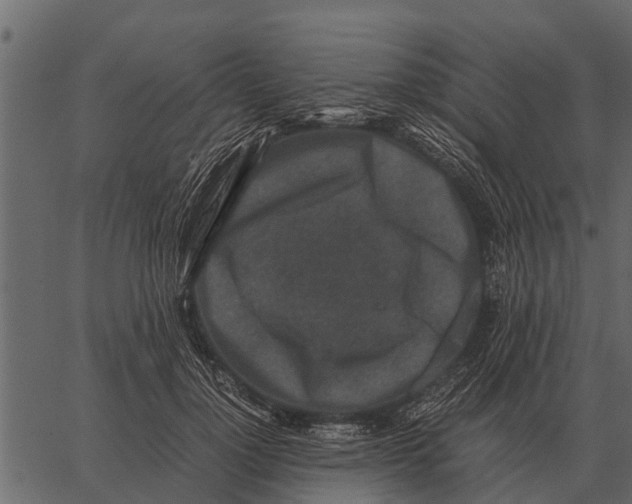 X0000062650748200601111151