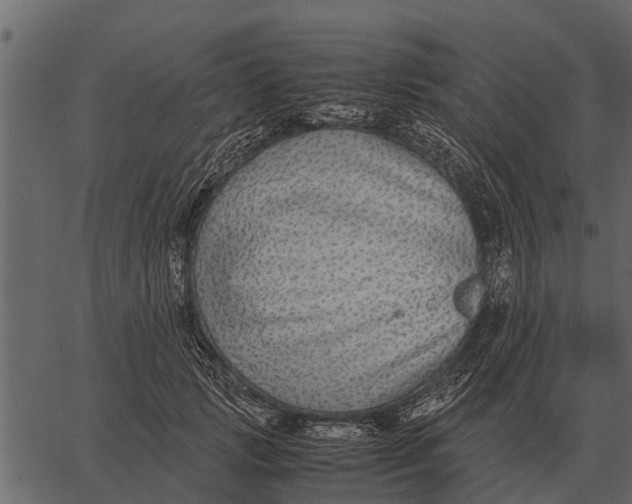 X0000062650749200601111151