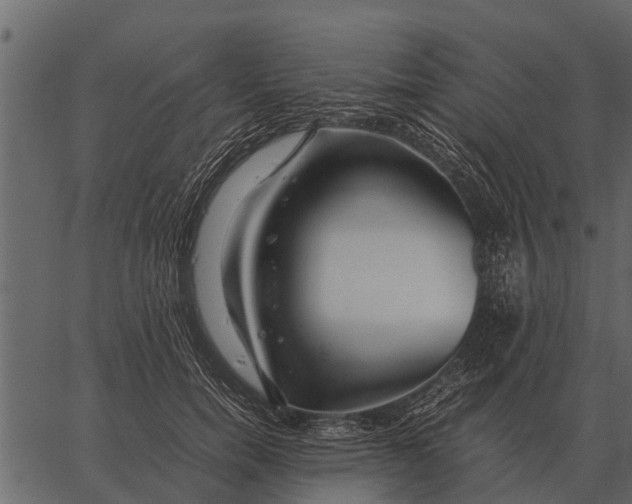 X0000062650750200601111151