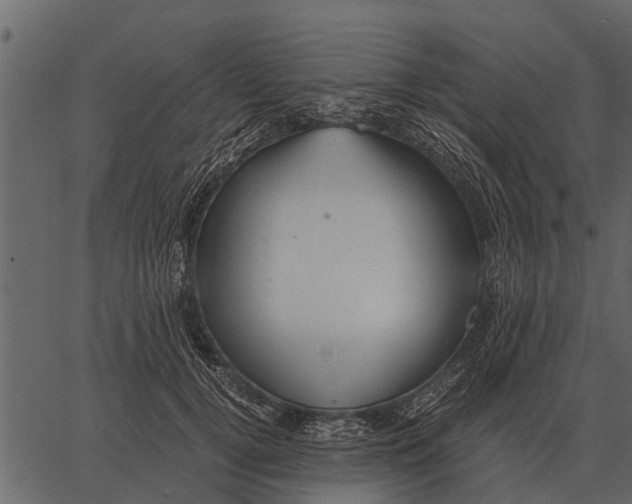 X0000062650752200601111151