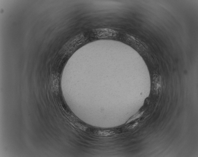 X0000062650753200601111151