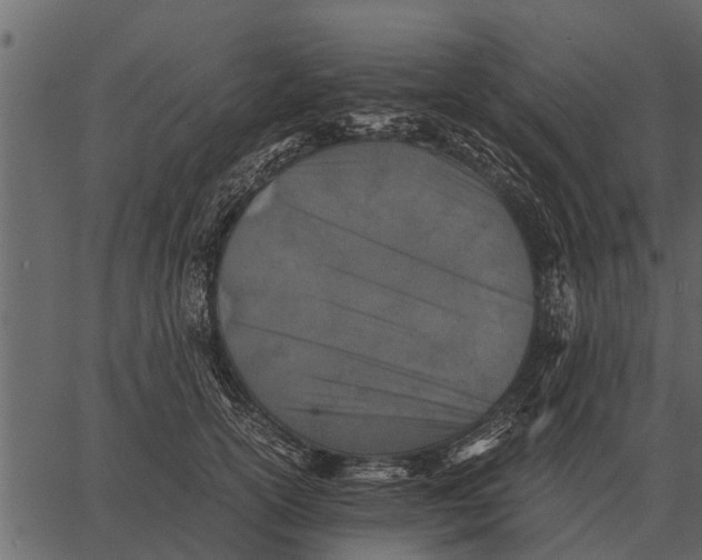 X0000062650754200601111151