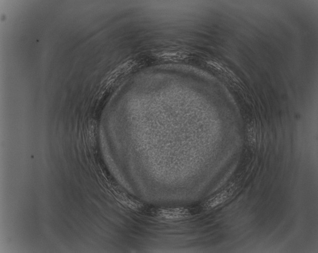 X0000062650757200601111151