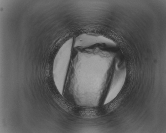 X0000062650758200601111151