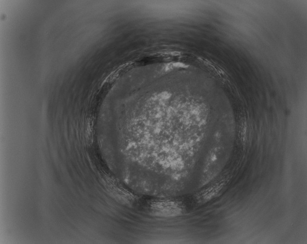 X0000062650759200601111151