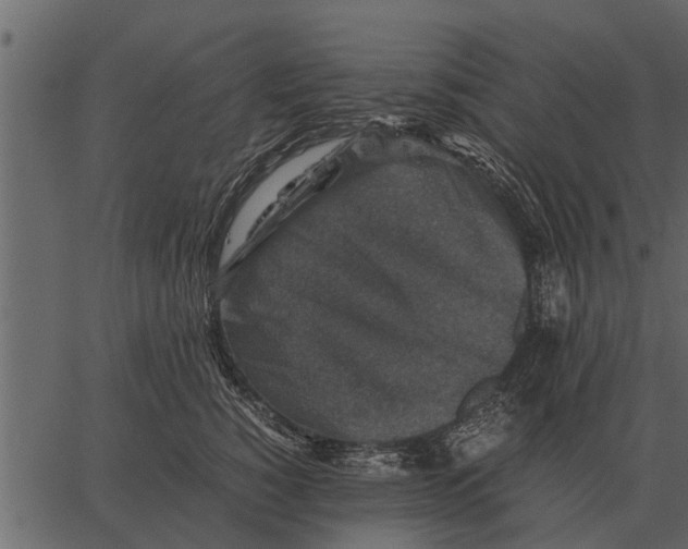 X0000062650760200601111151