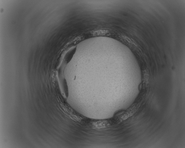 X0000062650761200601111151