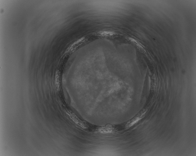 X0000062650762200601111151