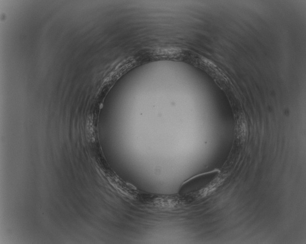 X0000062650764200601111151