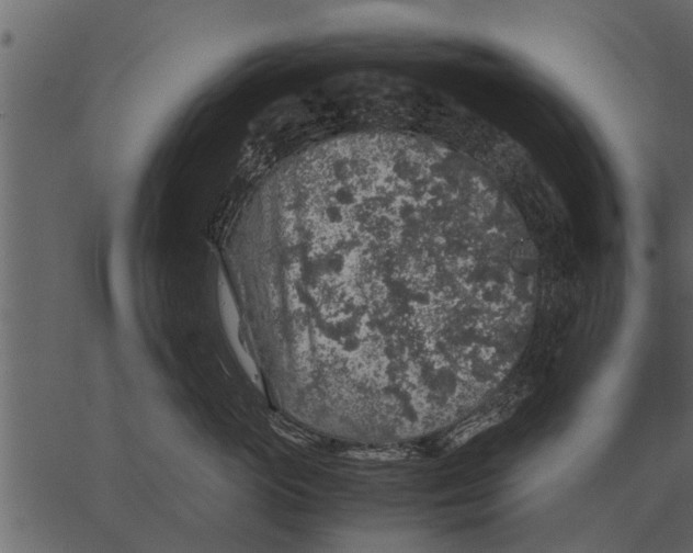 X0000062650765200601111151