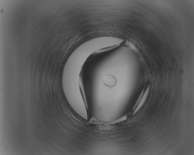 X0000062650766200601111151