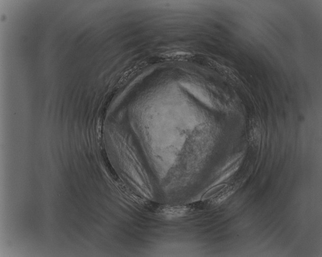 X0000062650767200601111151