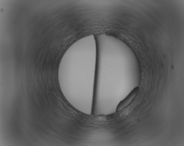 X0000062650768200601111151