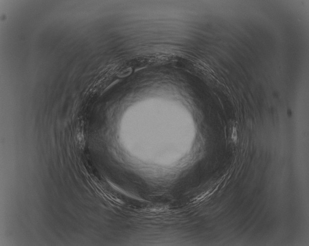 X0000062650771200601111151