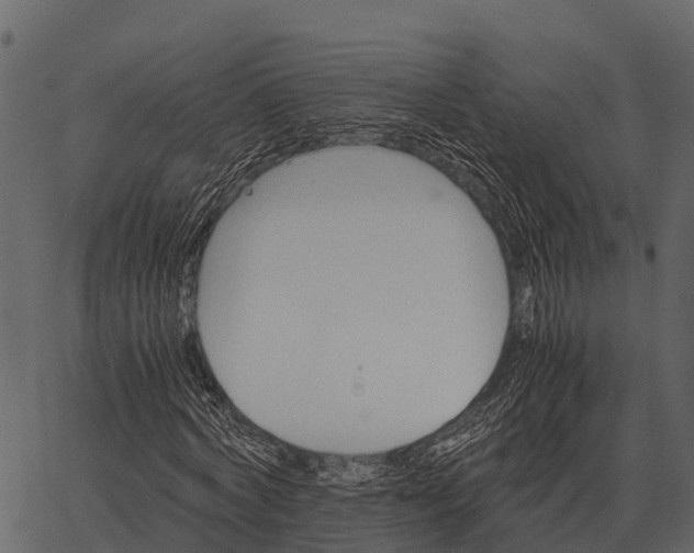 X0000062650772200601111151