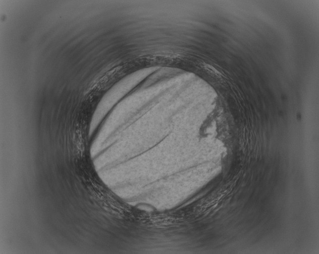 X0000062650774200601111150