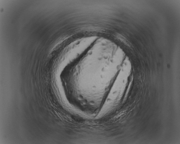 X0000062650775200601111150