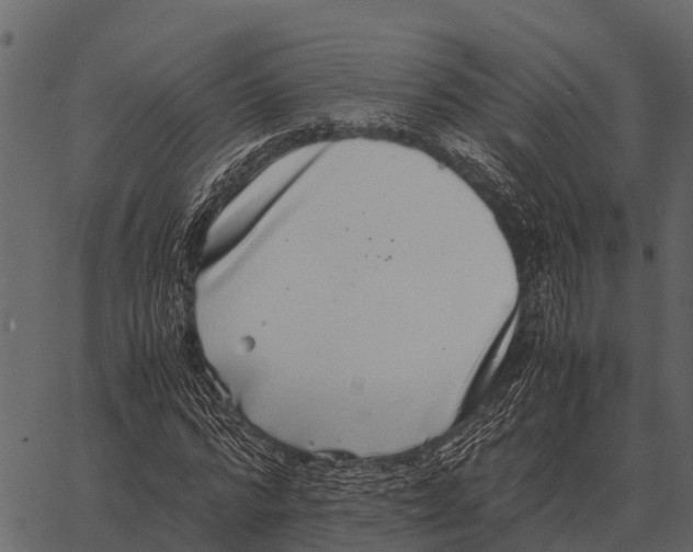 X0000062650776200601111150