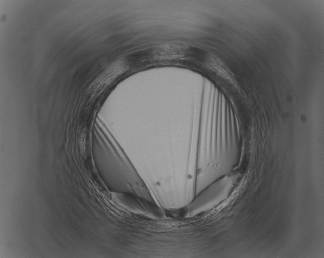 X0000062650777200601111150