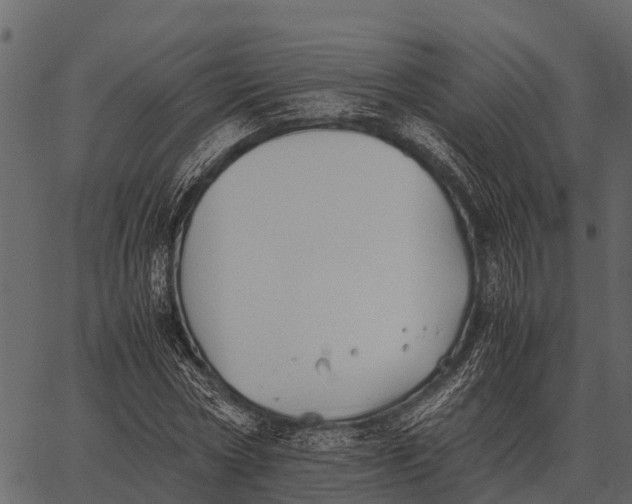 X0000062650778200601111150