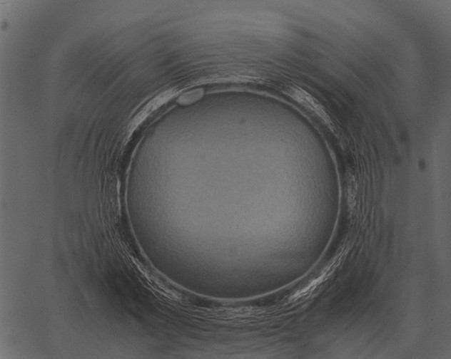 X0000062650781200601111150