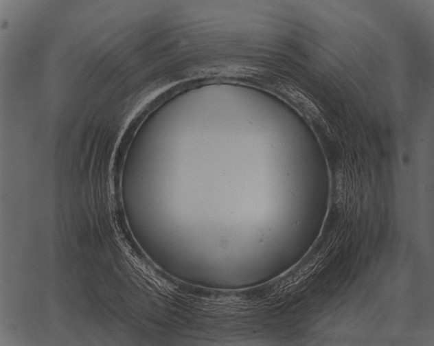 X0000062650784200601111150