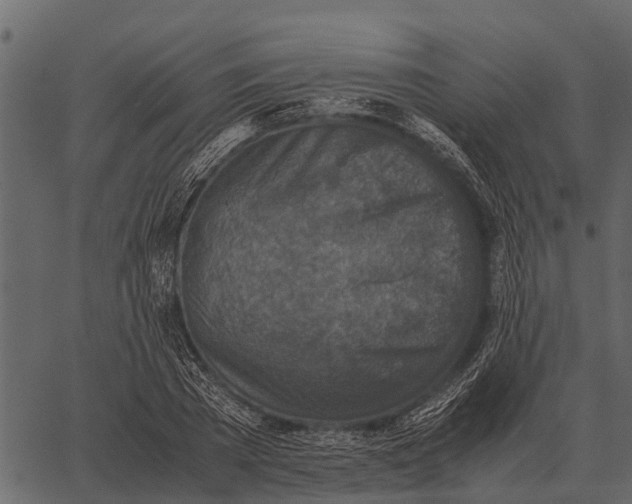 X0000062650785200601111150