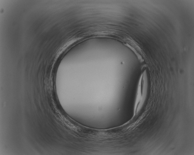 X0000062650787200601111150