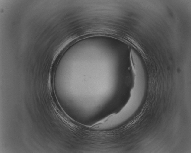 X0000062650788200601111150