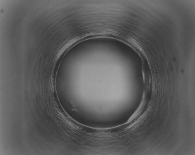 X0000062650789200601111150