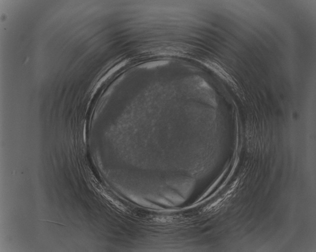 X0000062650790200601111150